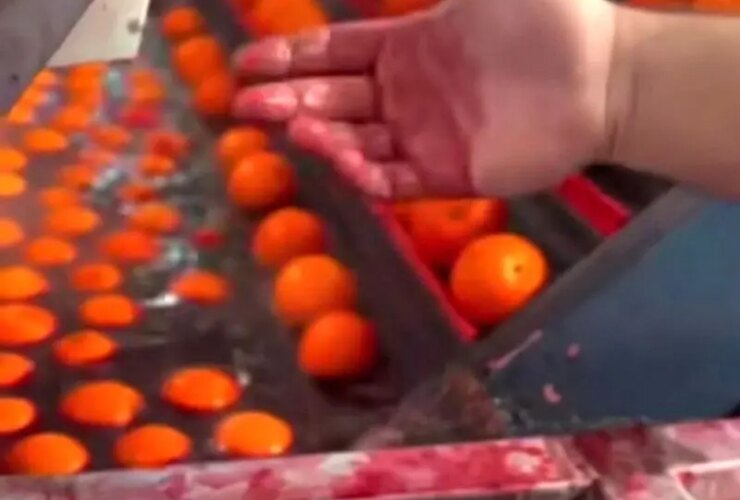 واکنش سازمان غذا و دارو به رنگ نارنجی 34 رنگ نارنجی