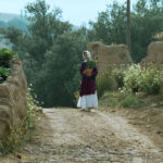 جشنواره جهانی فیلم فجر با نمایش فیلم عباس کیارستمی آغاز به کار کرد