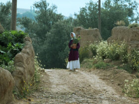 جشنواره جهانی فیلم فجر با نمایش فیلم عباس کیارستمی آغاز به کار کرد