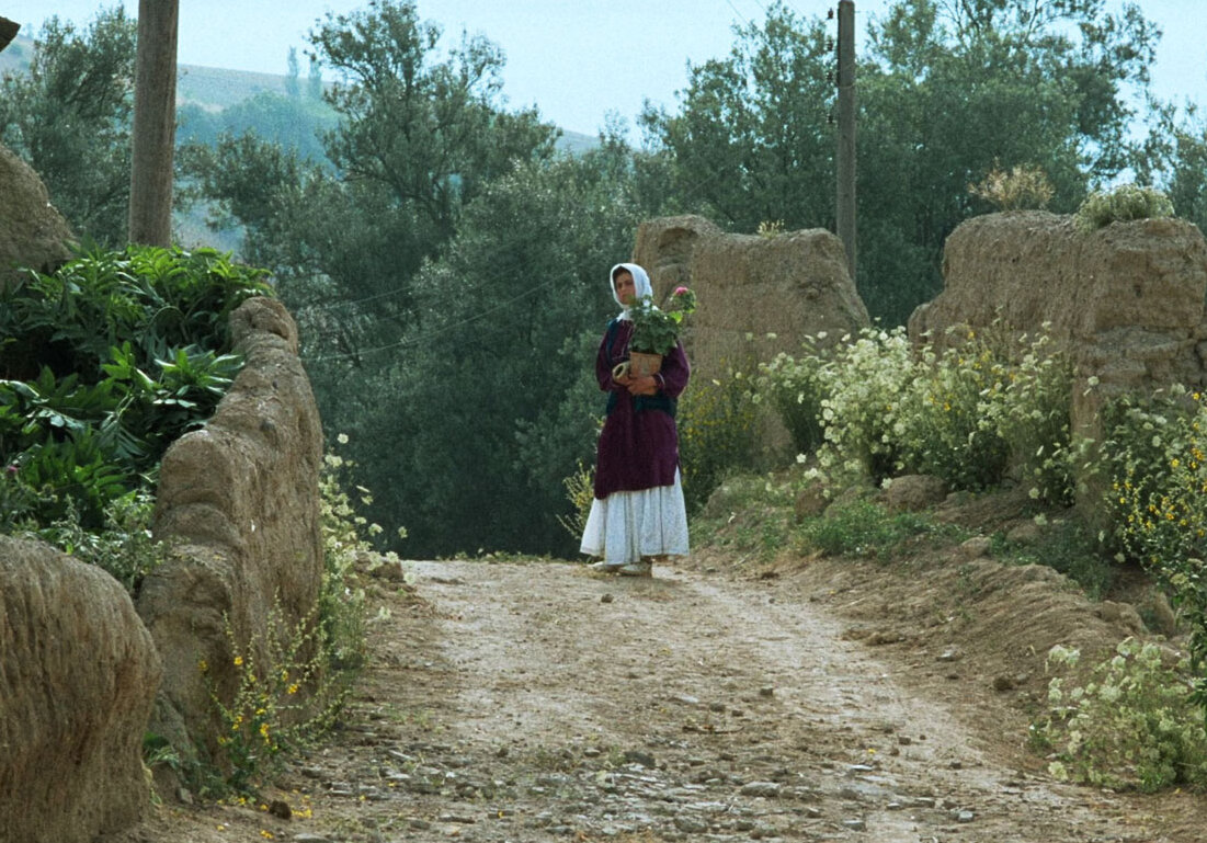 جشنواره جهانی فیلم فجر با نمایش فیلم عباس کیارستمی آغاز به کار کرد 1 جشنواره جهانی فیلم فجر با نمایش فیلم عباس کیارستمی آغاز به کار کرد