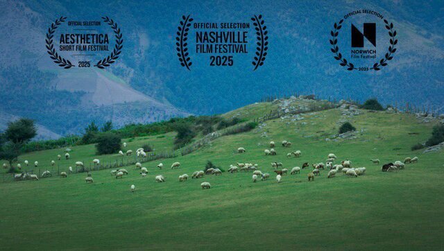 گوسفند ایرانی توجه ساکنان لس آنجلس را به خود جلب می کند