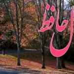 فال حافظ روزانه پنجشنبه ۶ آذر ؛ امروز یکی از آن روزهایی است که در زمینه ی مسائل مادی و اقتصادی شانس بسیار زیادی دارید