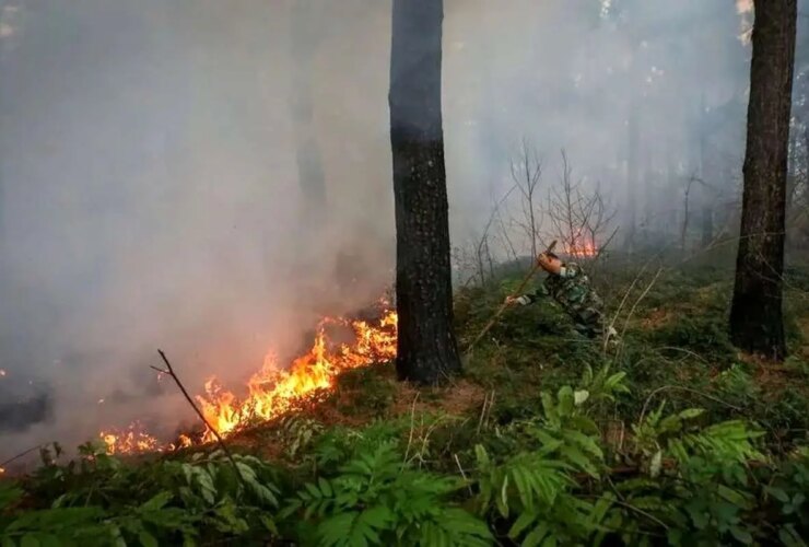 آتش سوزی در جنگل های گلستان پایان یافت