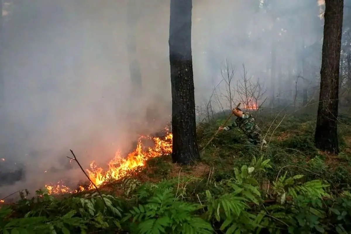 آتش سوزی در جنگل های گلستان پایان یافت