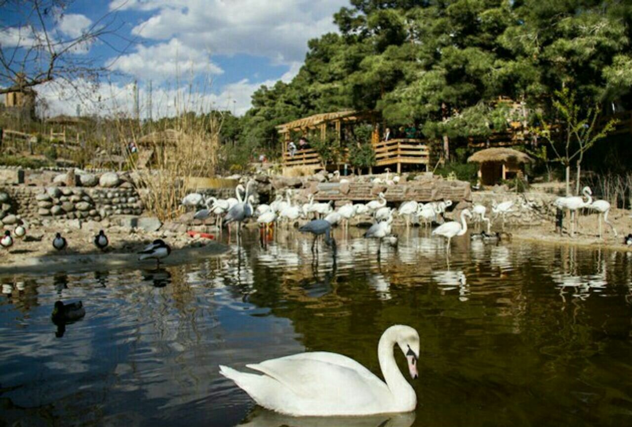 تماشای پاییز در بوستان های تهران / از لویزان تا پردیسان; برای سفر آخر هفته به تهران با 5 پارک جذاب آشنا شوید 4 تماشای پاییز در بوستان های تهران / از لویزان تا پردیسان; برای سفر آخر هفته به تهران با 5 پارک جذاب آشنا شوید
