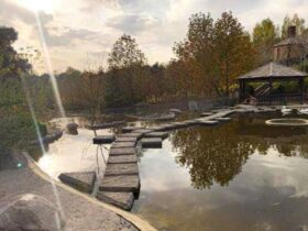 تماشای پاییز در بوستان های تهران / از لویزان تا پردیسان; برای سفر آخر هفته به تهران با 5 پارک جذاب آشنا شوید 8 تماشای پاییز در بوستان های تهران / از لویزان تا پردیسان; برای سفر آخر هفته به تهران با 5 پارک جذاب آشنا شوید