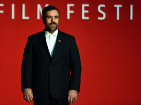 امید است دبیرخانه دائمی جشنواره جهانی فیلم فجر در شیراز راه اندازی شود/ بر این باور که ایران فقط تهران نیست تاکید می شود.