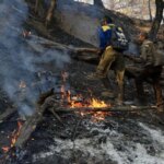 تصاویر; آتش سوزی در جنگل های گلستان