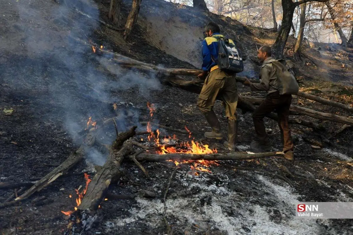 تصاویر; آتش سوزی در جنگل های گلستان