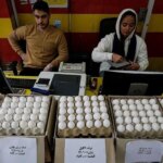 قیمت تخم مرغ دوباره رکورد زد