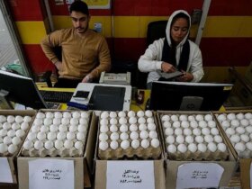 قیمت تخم مرغ دوباره رکورد زد 8 قیمت تخم مرغ دوباره رکورد زد