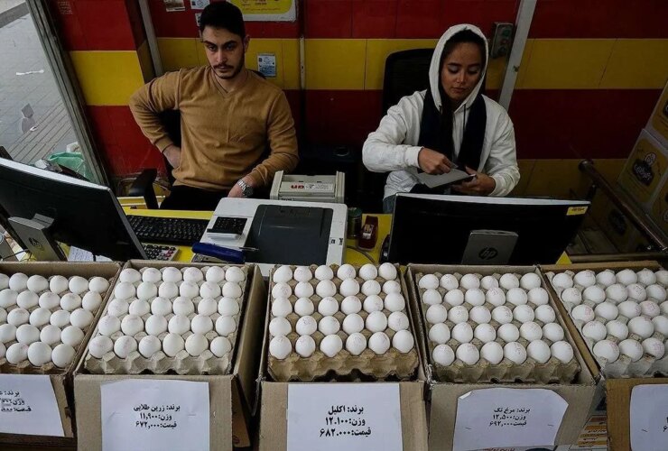 قیمت تخم مرغ دوباره رکورد زد