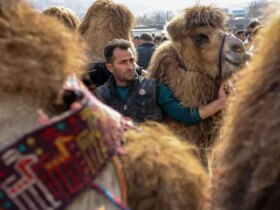 تصاویر; جشنواره نقاشی روستای نجف