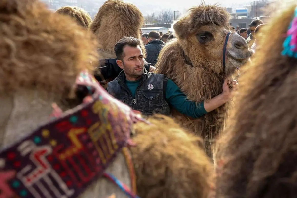 تصاویر; جشنواره نقاشی روستای نجف