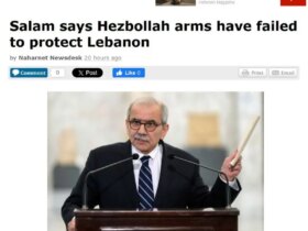 واکنش دولت لبنان