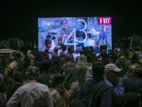 نمایش 30 فیلم کوتاه در بخش "فجر پلاس" جشنواره جهانی فیلم فجر / تقدیر از دستاوردهای بین المللی فیلمسازان استان فارس