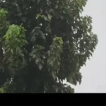 آیا از اواسط آذر به طور معمول باران می بارد؟