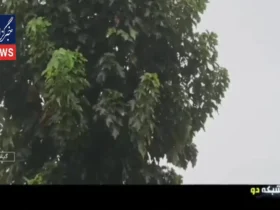 آیا از اواسط آذر به طور معمول باران می بارد؟ 9 آیا از اواسط آذر به طور معمول باران می بارد؟