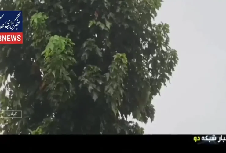 آیا از اواسط آذر به طور معمول باران می بارد؟