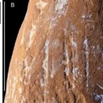 آیا نئاندرتال ها مداد رنگی داشتند؟
