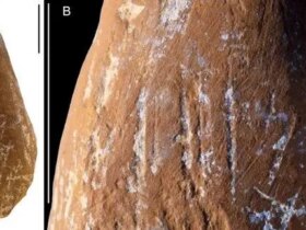 آیا نئاندرتال ها مداد رنگی داشتند؟ 8 آیا نئاندرتال ها مداد رنگی داشتند؟