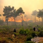 ادعای خاموش شدن آتش در جنگل های نخبگان کذب بود/ هلیکوپتر خواستیم، گفتند اغراق می کنید!