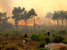 ادعای خاموش شدن آتش در جنگل های نخبگان کذب بود/ هلیکوپتر خواستیم، گفتند اغراق می کنید!