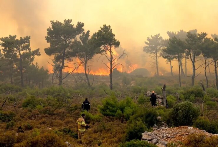 ادعای خاموش شدن آتش در جنگل های نخبگان کذب بود/ هلیکوپتر خواستیم، گفتند اغراق می کنید! 26 ادعای خاموش شدن آتش در جنگل های نخبگان کذب بود/ هلیکوپتر خواستیم، گفتند اغراق می کنید!