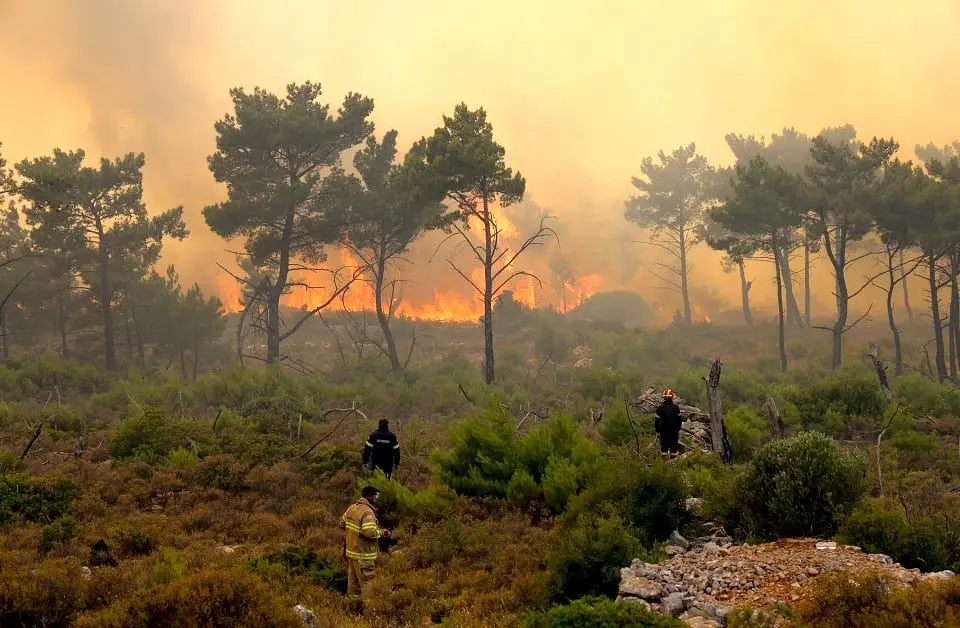ادعای خاموش شدن آتش در جنگل های نخبگان کذب بود/ هلیکوپتر خواستیم، گفتند اغراق می کنید!