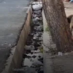 امام کما پارو زد!