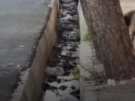 امام کما پارو زد!