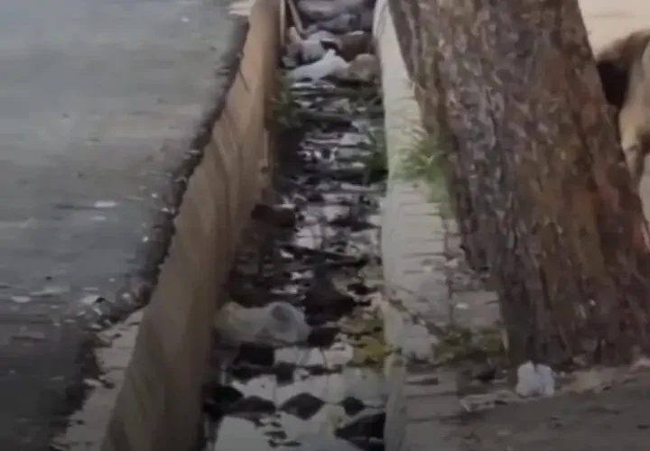 امام کما پارو زد! 24 امام کما پارو زد!