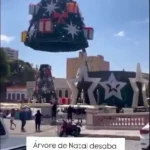 او زمانی که در حال نصب درخت کریسمس بود، جرثقیل سقوط کرد.