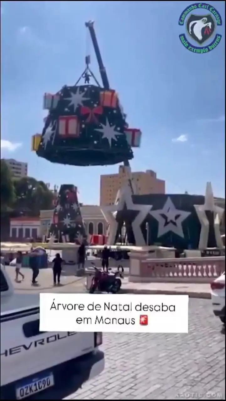 او زمانی که در حال نصب درخت کریسمس بود، جرثقیل سقوط کرد.