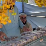 اولین نخلستان در ننگرهار افغانستان