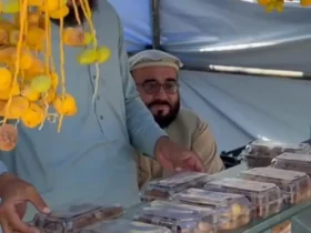 اولین نخلستان در ننگرهار افغانستان 8 اولین نخلستان در ننگرهار افغانستان