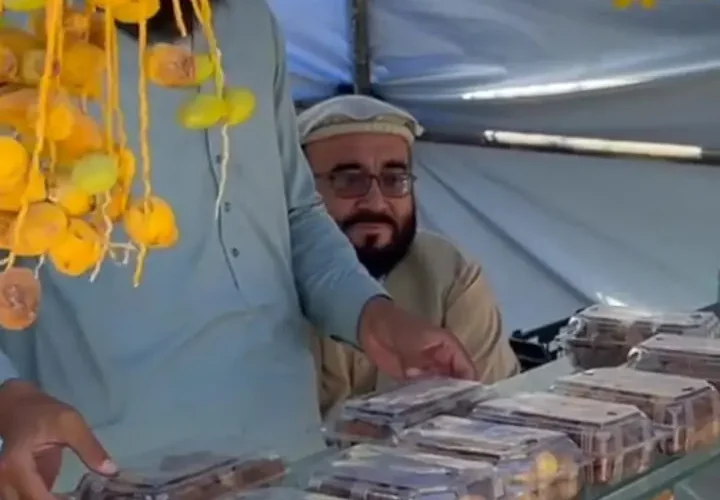 اولین نخلستان در ننگرهار افغانستان