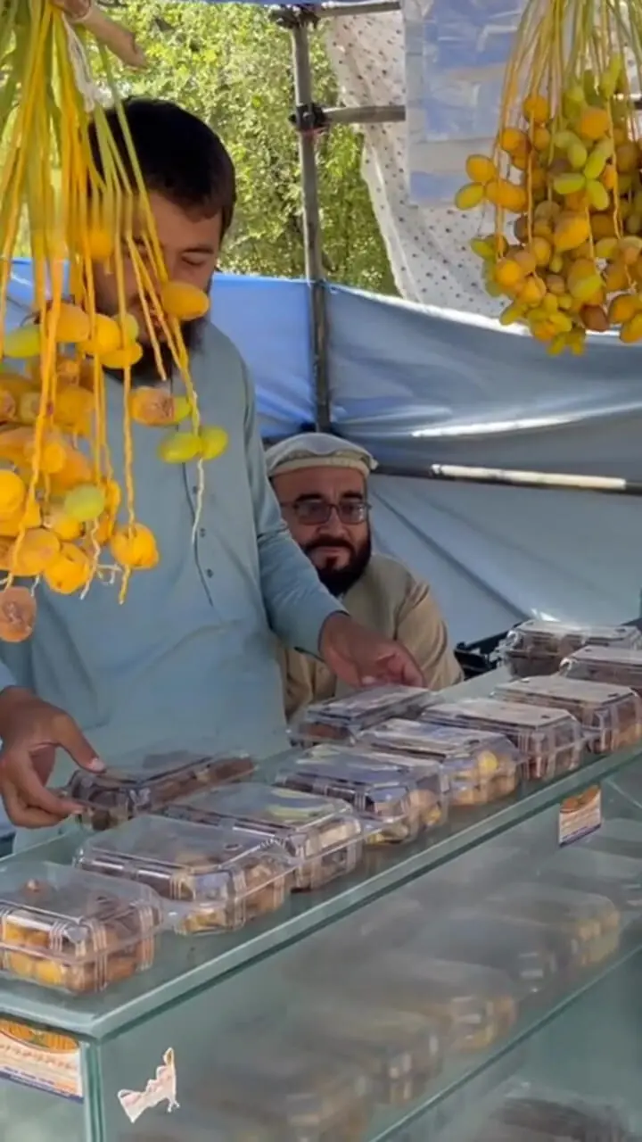 اولین نخلستان در ننگرهار افغانستان 1 اولین نخلستان در ننگرهار افغانستان