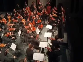 با صدای بلند و تاثیرگذار؛ ارکستر سمفونیک تهران برای اولین بار به رهبری یک زن اجرا کرد 8 با صدای بلند و تاثیرگذار؛ ارکستر سمفونیک تهران برای اولین بار به رهبری یک زن اجرا کرد