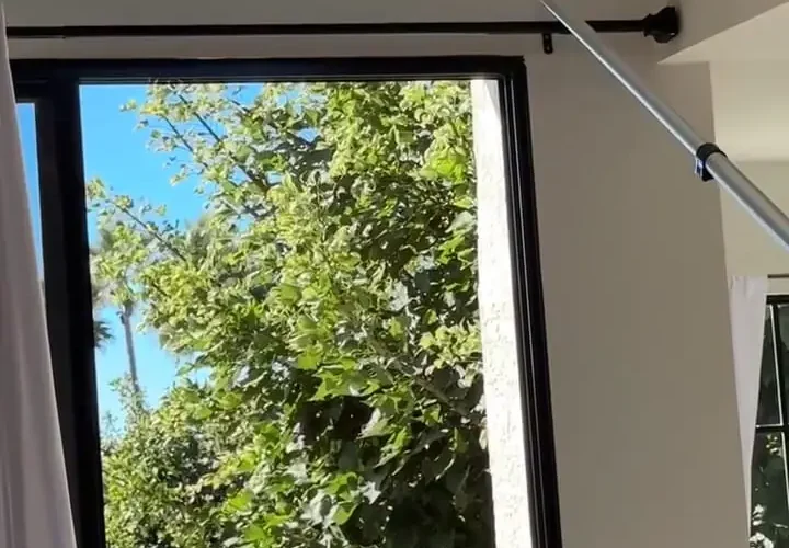 برای دیدن؛ ترفند جالب برای نجات مرغ مگس خواری که در خانه به دام افتاده است 26 برای دیدن؛ ترفند جالب برای نجات مرغ مگس خواری که در خانه به دام افتاده است