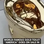 برای دیدن؛ توالت طلایی در مرکز توجه قرار گرفت