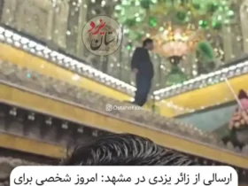 برای دیدن؛ زائری در اقدامی عجیب بر قبر امام رضا (ع) بالا رفت