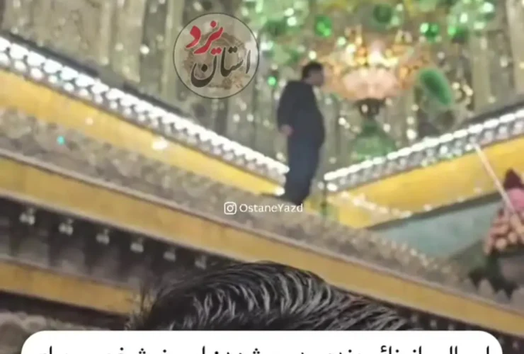 برای دیدن؛ زائری در اقدامی عجیب بر قبر امام رضا (ع) بالا رفت
