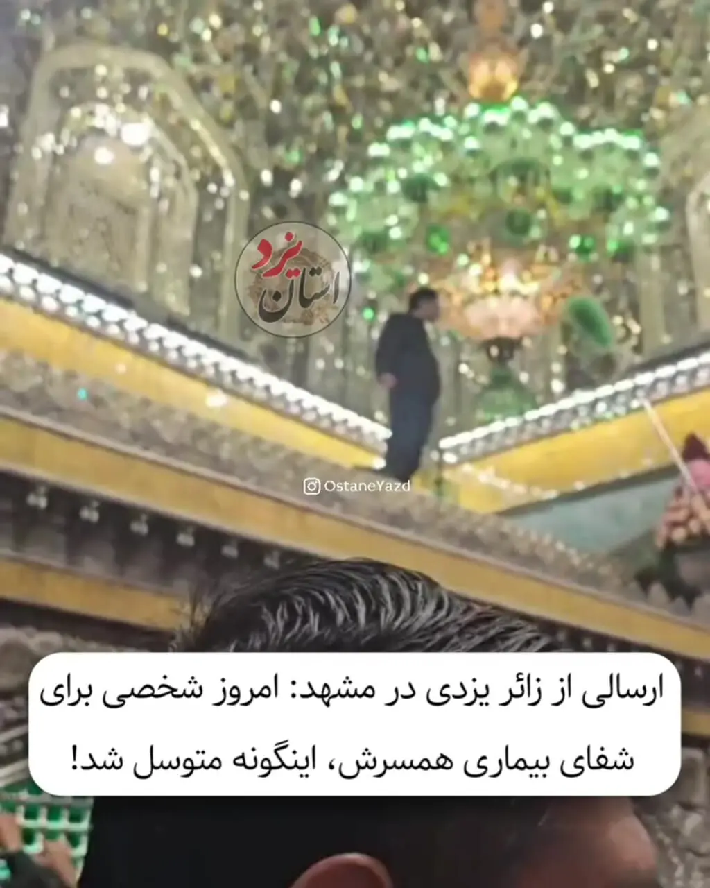 برای دیدن؛ زائری در اقدامی عجیب بر قبر امام رضا (ع) بالا رفت