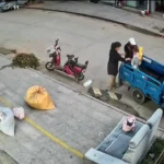 برای دیدن؛ سقوط پسر از پشت سه چرخه