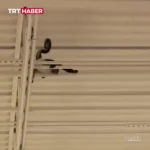 برای دیدن؛ میمونی که از جمعیت ترسیده بود به پشت بام فروشگاه رفت