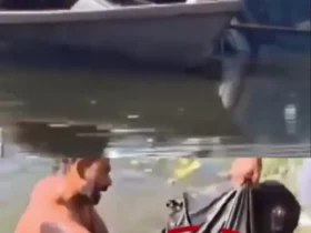 برای دیدن؛ نجات چشمگیر راننده خودروی در حال غرق شدن