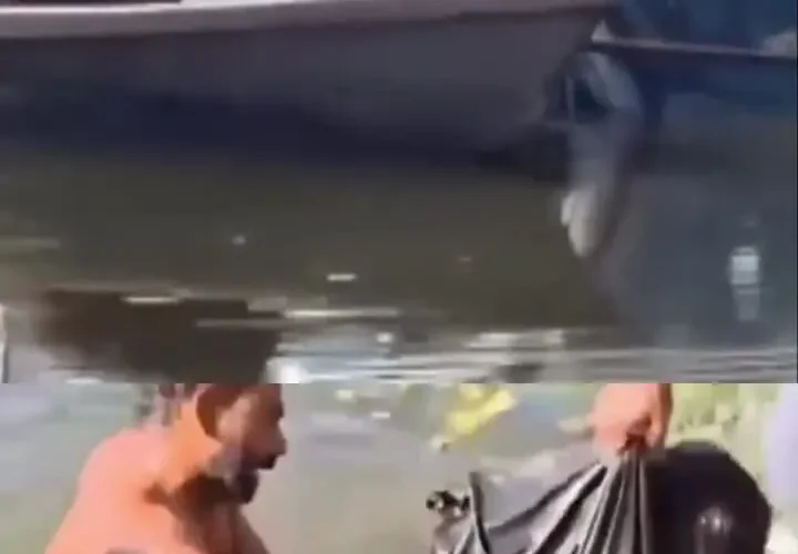 برای دیدن؛ نجات چشمگیر راننده خودروی در حال غرق شدن