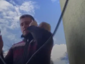 برای دیدن؛ گربه مزاحم اذان در مسجد است 10 برای دیدن؛ گربه مزاحم اذان در مسجد است