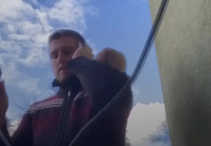 برای دیدن؛ گربه مزاحم اذان در مسجد است 29 برای دیدن؛ گربه مزاحم اذان در مسجد است